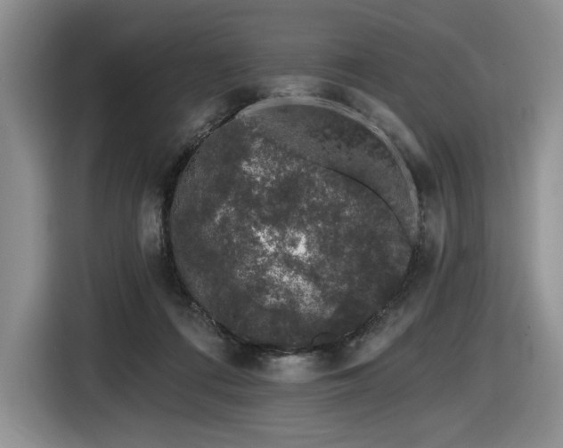 X0000116610312200912111139
