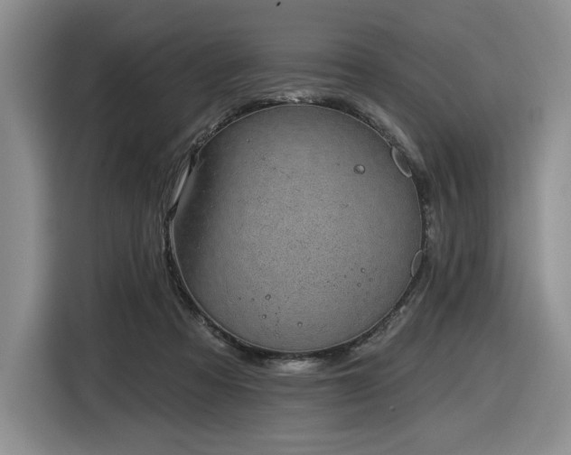 X0000116610313200912111139