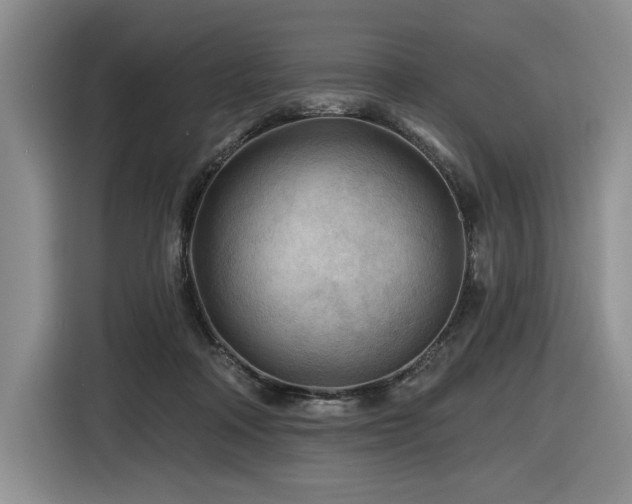 X0000116610314200912111139