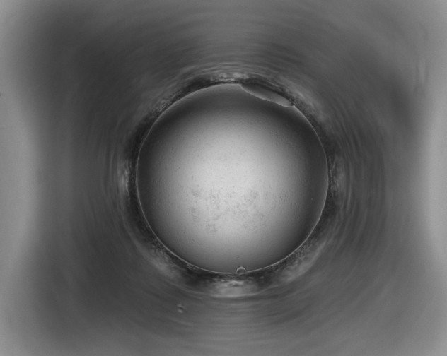 X0000116610315200912111139