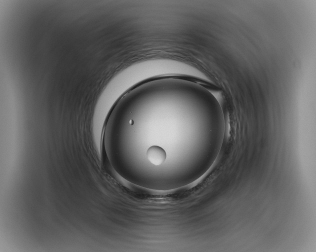 X0000116610316200912111139