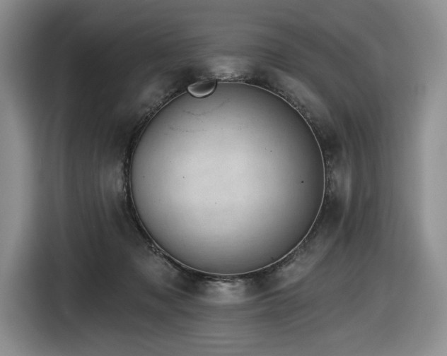 X0000116610317200912111139