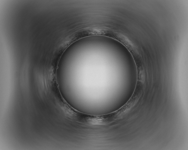 X0000116610318200912111139