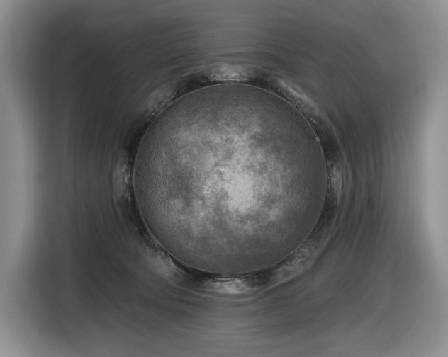 X0000116610322200912111139