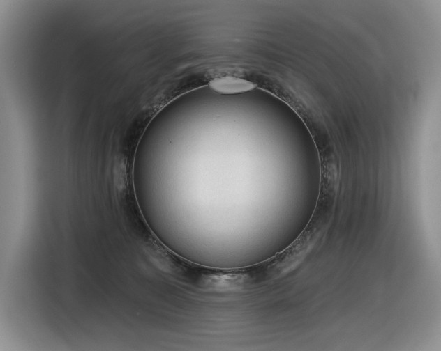 X0000116610323200912111139