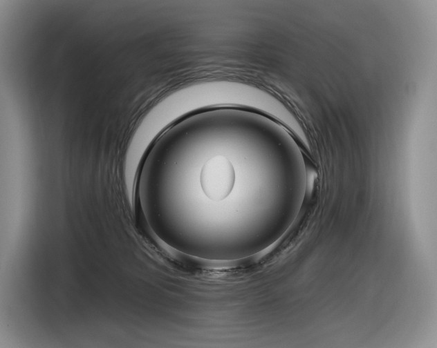 X0000116610325200912111139