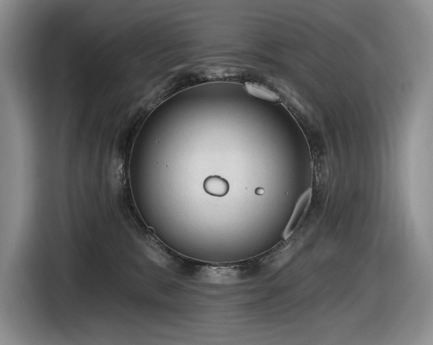 X0000116610327200912111139