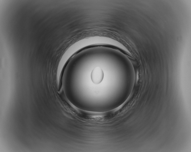 X0000116610328200912111139