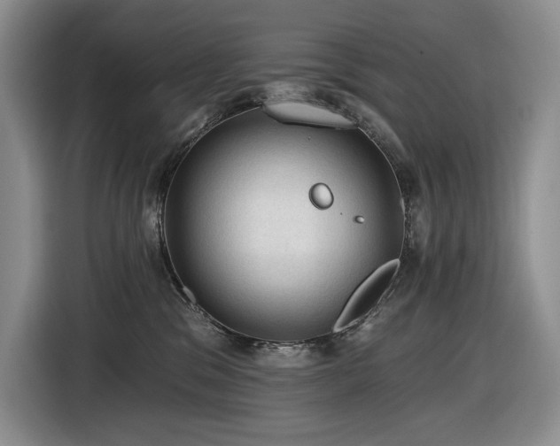 X0000116610329200912111139