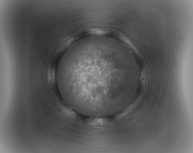 X0000116610330200912111139