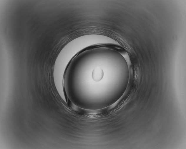 X0000116610333200912111139