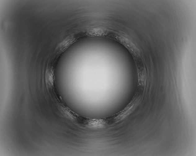 X0000116610334200912111139