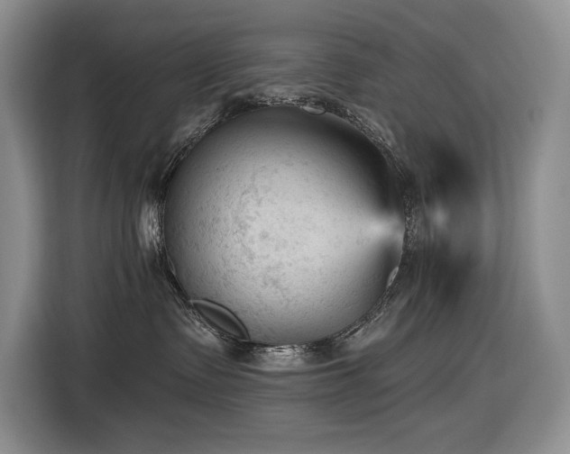 X0000116610335200912111139