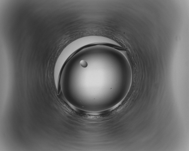 X0000116610336200912111139