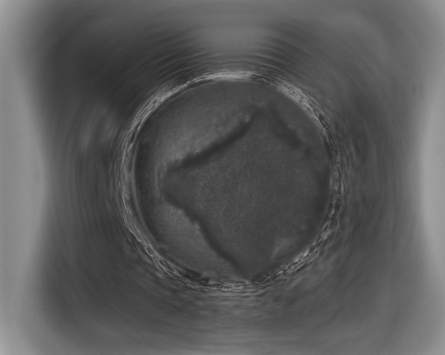 X0000116610337200912111138