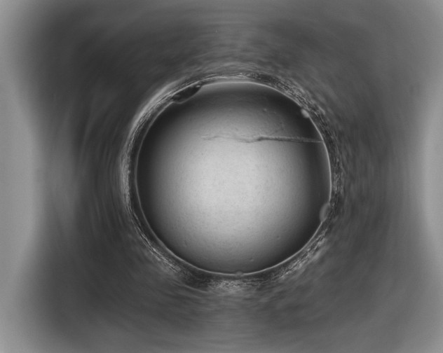X0000116610341200912111138