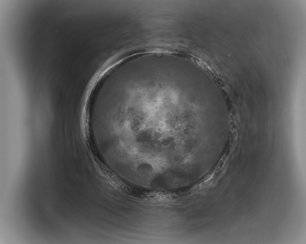 X0000116610343200912111138