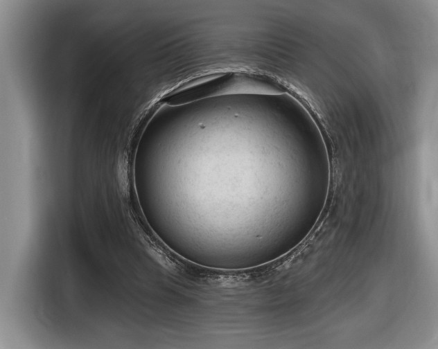 X0000116610345200912111138