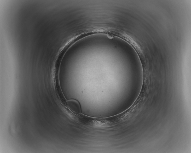 X0000116610346200912111138