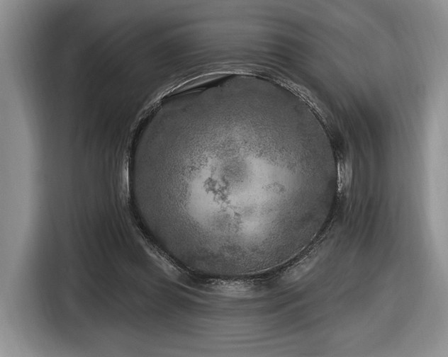 X0000116610349200912111138