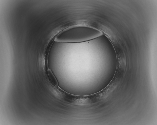 X0000116610350200912111138