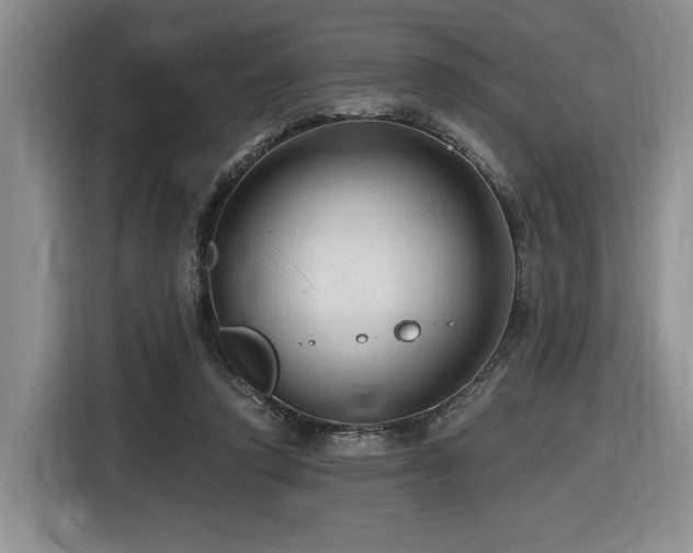 X0000116610354200912111138