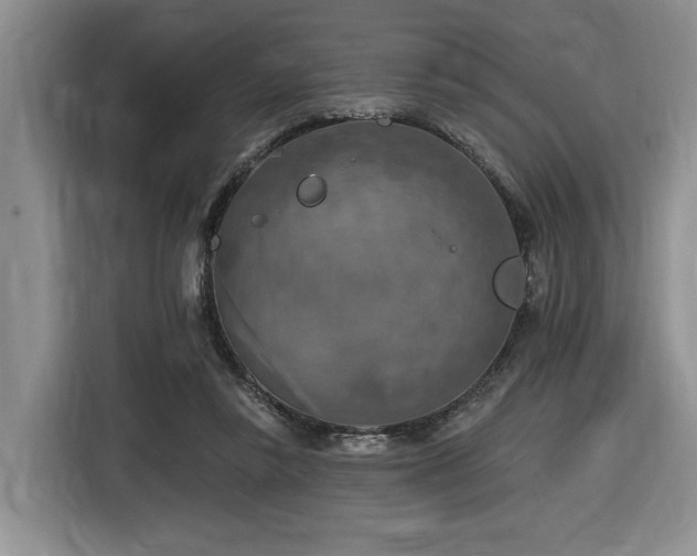 X0000116610355200912111138