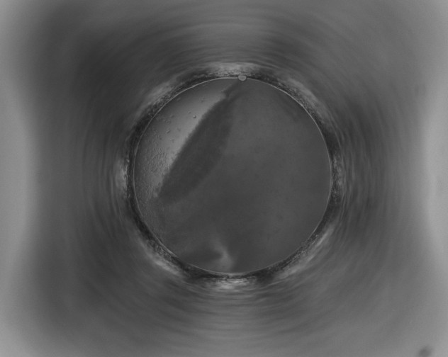 X0000116610357200912111138