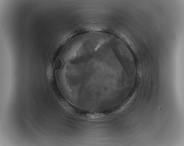 X0000116610359200912111139