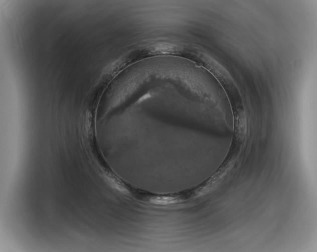 X0000116610361200912111139