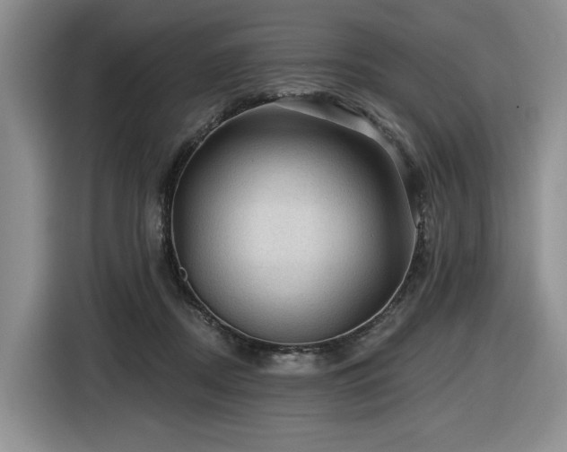 X0000116610362200912111139