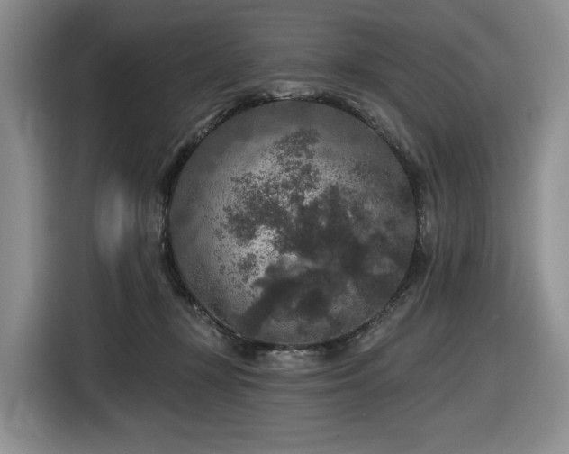 X0000116610367200912111139