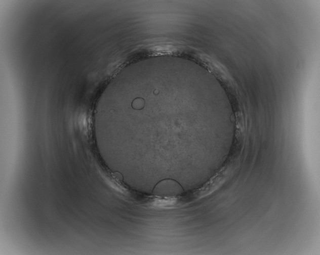 X0000116610369200912111139