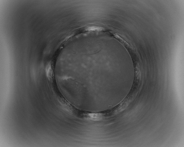 X0000116610371200912111139