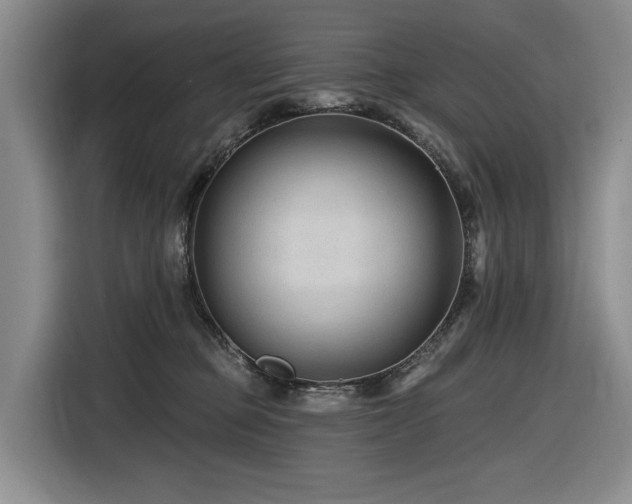X0000116610373200912111139