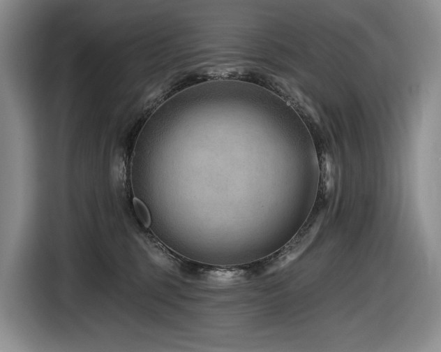 X0000116610375200912111139