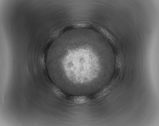 X0000116610377200912111139