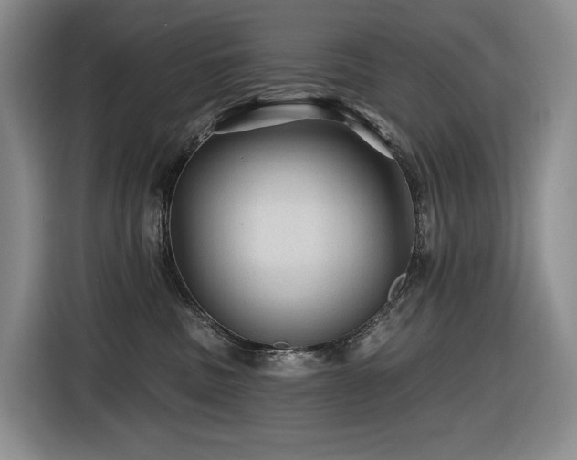 X0000116610379200912111139