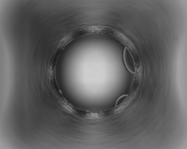 X0000116610381200912111139
