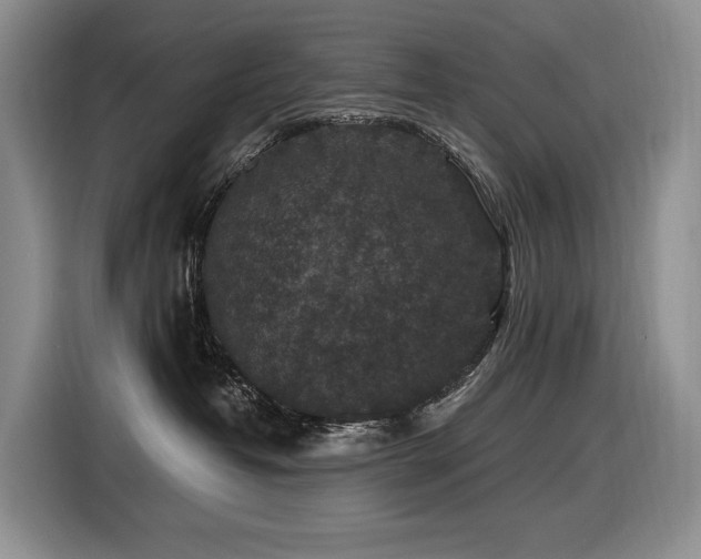 X0000116610382200912111139