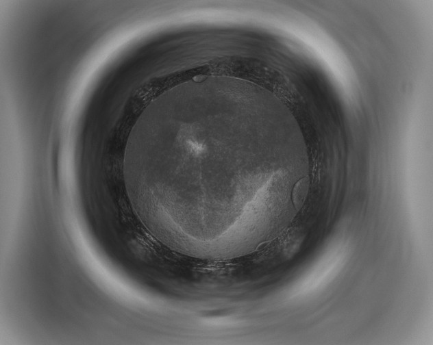 X0000116610383200912111139