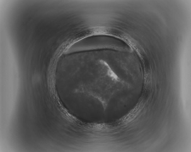X0000116610385200912111138