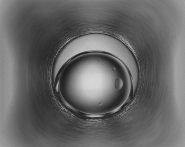 X0000116610386200912111138