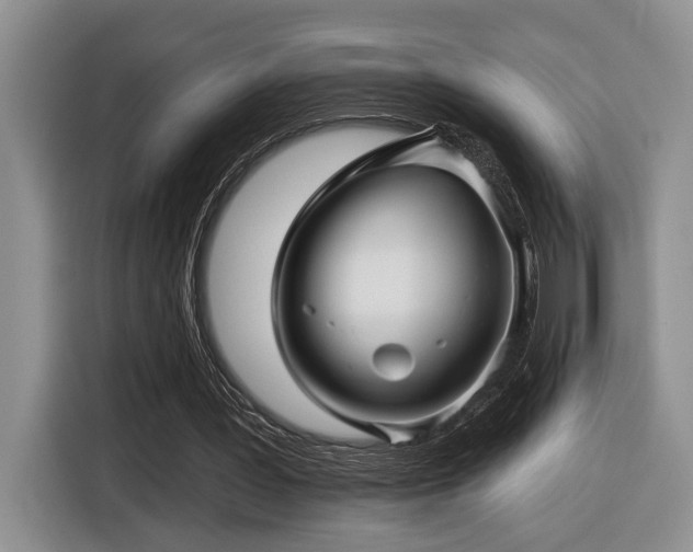 X0000116610387200912111138