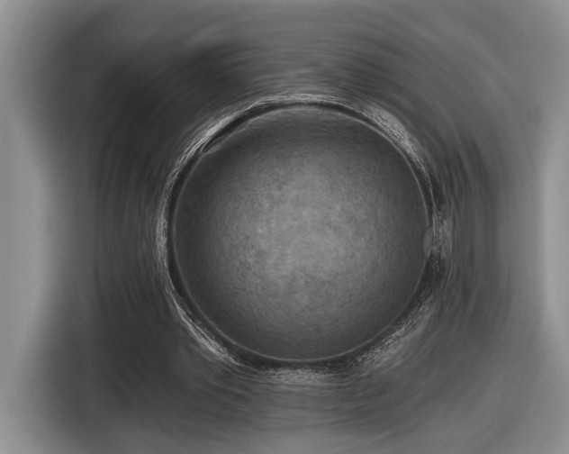 X0000116610389200912111138