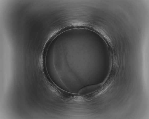 X0000116610391200912111138