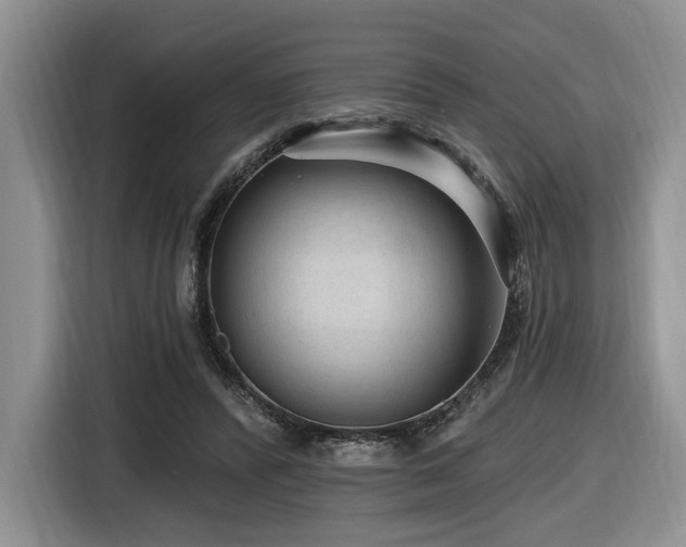 X0000116610400200912111138