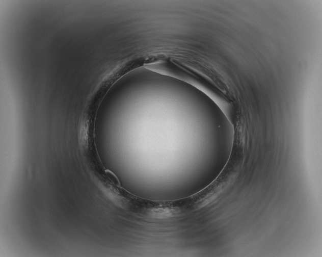 X0000116610404200912111138