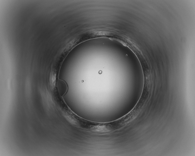 X0000116610406200912111138