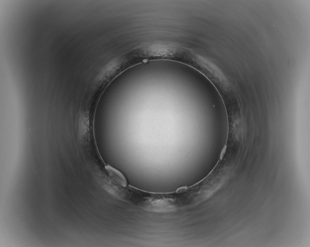 X0000116610407200912111138